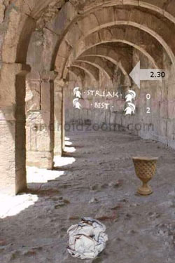 ֽ(Toss It)׽