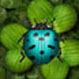 ׳Ծ(Beetle Jump) v1.0.0ͼ