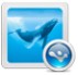 http://182.92.102.101/apk/image2.958shop.com/p/2011/09/01/157586772019914.jpg