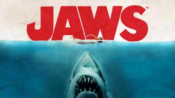 Ϯˮ򾯽(JAWS) v2.1.5