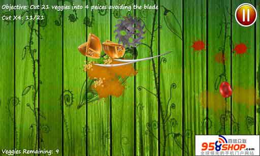 ߲(Veggie KungFu Pro) v1.0.0.1