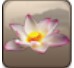 http://182.92.102.101/apk/image2.958shop.com/p/2012/08/07/45539874841892.jpg