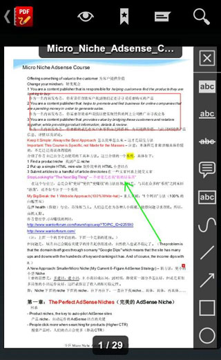 RGĶ RepliGo Reader v4.0.4