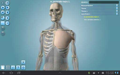 3D幹 Anatomy v1.47
