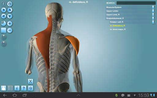 3D幹 Anatomy v1.47
