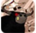 ţʿ Bull Runner v1.0ͼ