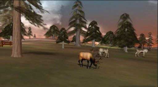 3Dԣ 3D Hunting: Trophy Whitetail v1.0.3