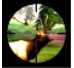 3Dԣ 3D Hunting: Trophy Whitetail v1.0.3ͼ