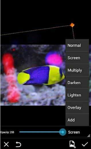 Ӱ¥ PicsArt - Photo Studio v3.1.1