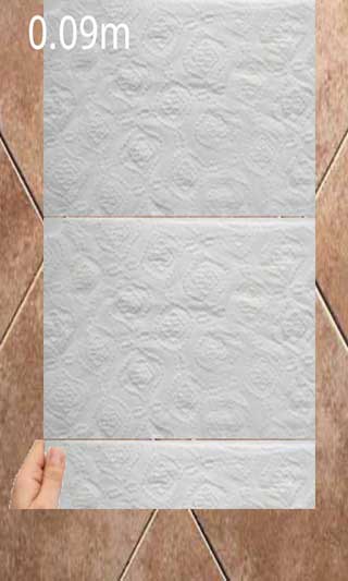 ֽ oilet Paper Running v1.2