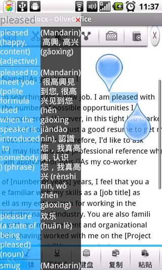 橄榄词典 OliveDict v1.0