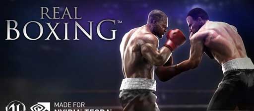 ʵȭ Real Boxing v1.0.2