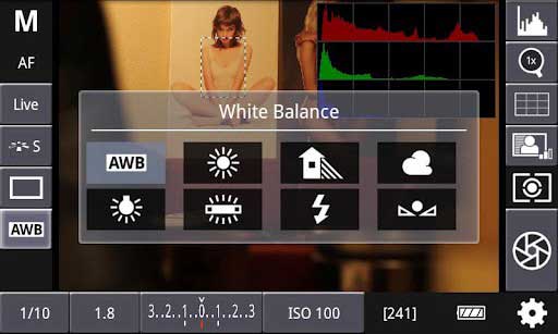  DSLR Controller v0.99