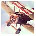 ԭ Flight Theory v1.1ͼ