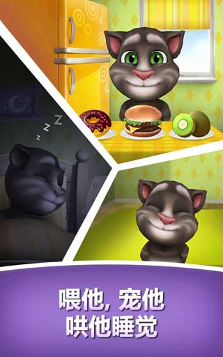 ҵĻ˵ķ My Talking Tom v1.0