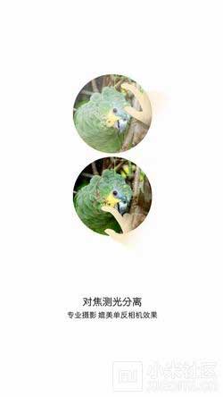 nubia nubia camera v1.0.10