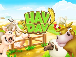 ͨũ  Hay Day  v1.17.95