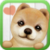 Ϲ v3.0.6ͼ