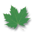 ɫػ v2.3 (build 7)ͼ