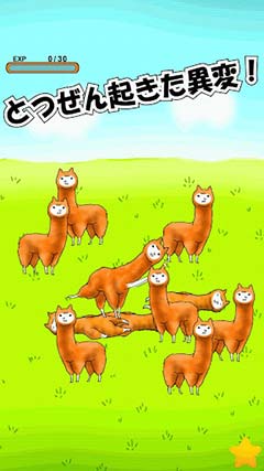ֹ | Alpaca Niisan
