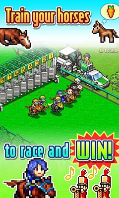  | Pocket Stables