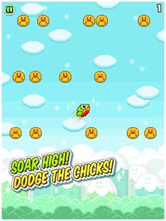 冲天鸟 | Soaring Bird