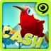 ά | Kiwi Rushͼ